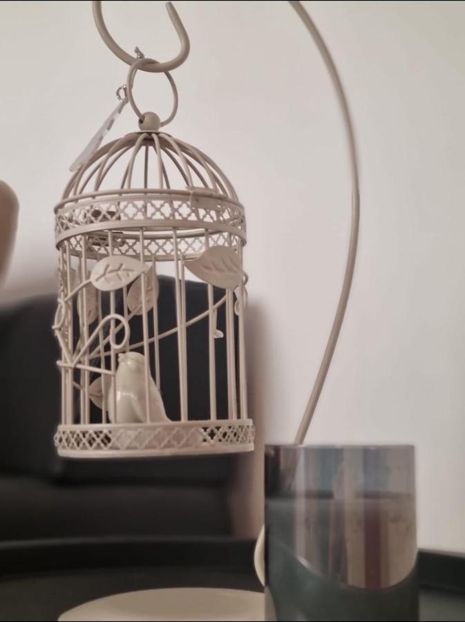 Stella Apartment Sibenik Charm&History United المظهر الخارجي الصورة
