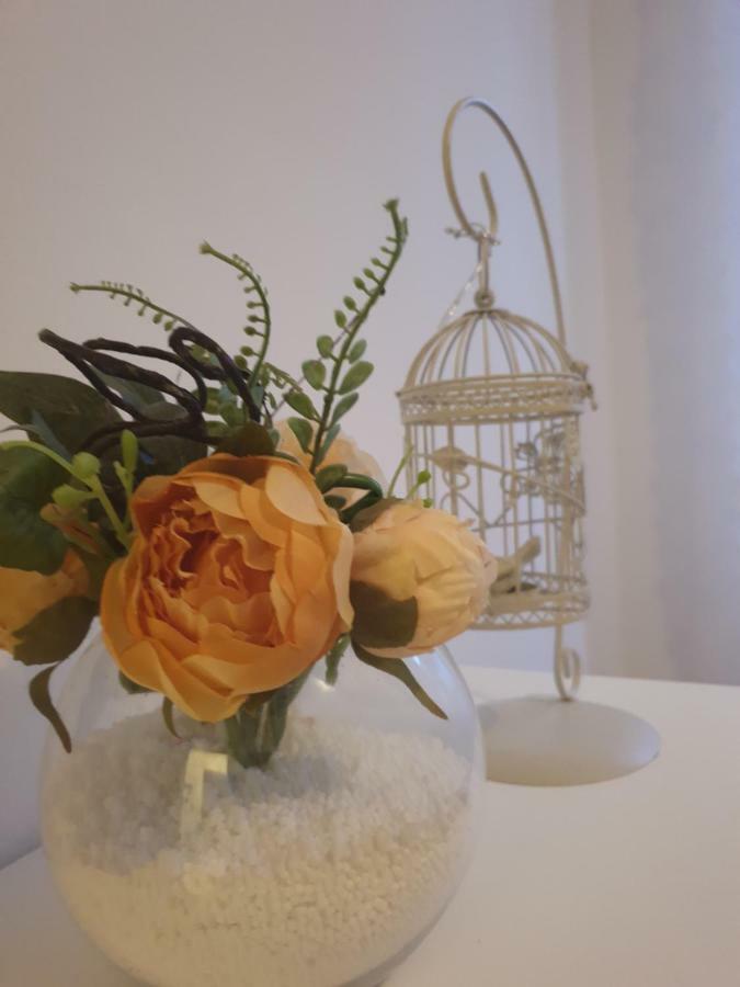 Stella Apartment Sibenik Charm&History United المظهر الخارجي الصورة