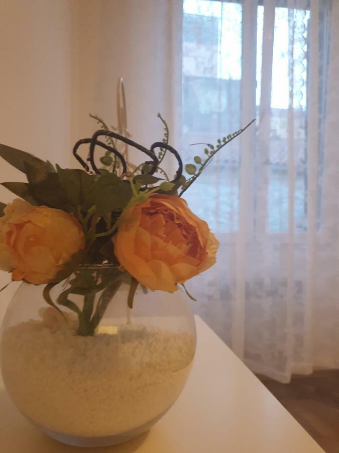 Stella Apartment Sibenik Charm&History United المظهر الخارجي الصورة